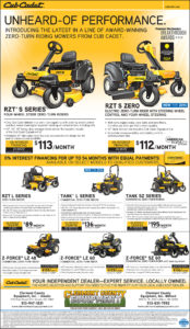 Cub Cadet2