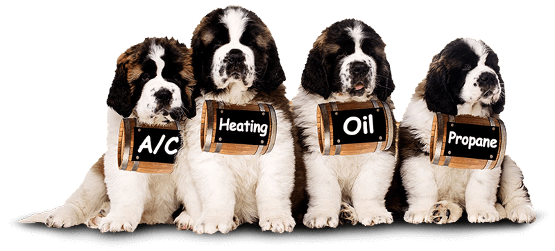 St. Bernard puppies with signs of Griffith's services
